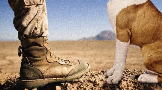 Soldier's boot next to a dog