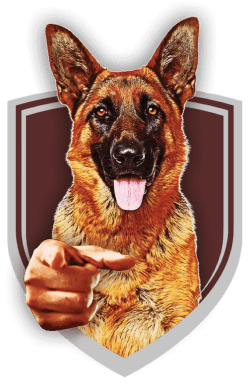 We Want You dog in shield